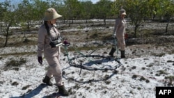 FILE - Members of a demining team look for unexploded ordnance in the Trieu Phong district of Quang Tri province, Vietnam, Jan. 6, 2020. 