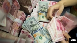 A Chinese bank employee counts 100-yuan notes and US dollar bills at a bank counter (Photo by AFP)