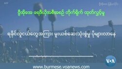 ရခိုင်လူငယ်တွေကြား မူးယစ်ဆေးသုံးစွဲမှု ပိုများလာ