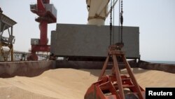 Wheat grain is seen on the MV Brave Commander vessel from Yuzhny Port in Ukraine to the drought-stricken Horn of Africa as it docks in Djibouti, Aug. 30, 2022. (Hugh Rutherford/World Food Program/Handout via Reuters)