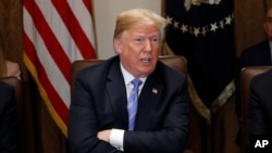 President Donald Trump speaks during his meeting with members of his cabinet in Cabinet Room of the White House in Washington, July 18, 2018. 