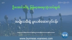 အမျိုးသမီးနဲ့ မူးယစ်ဆေးဝါးလုပ်ငန်း