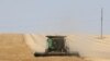 A farmer uses a combine harvester to harvest wheat on a field near Izmail, in the Odesa region on June 14, 2022, amid the Russian invasion of Ukraine.