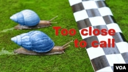 Too close to call - idiom usage