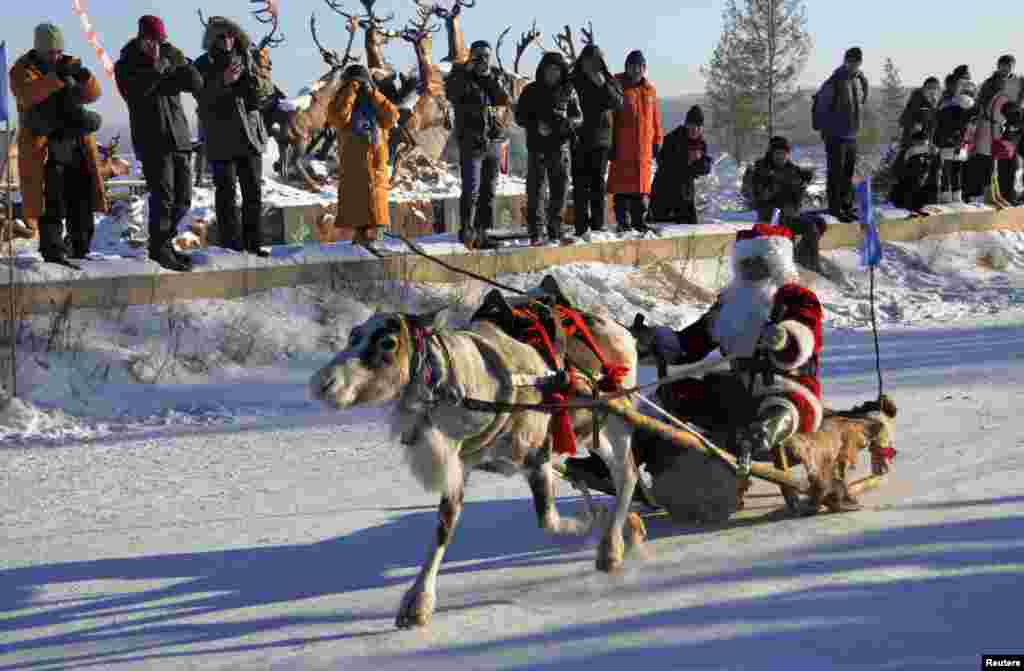 A contestant wearing a Santa Claus costume rides in a sledge pulled by a reindeer during a race on snow-covered tracks at the opening ceremony of a local winter festival in Genhe of Hulun Buir, north China's Inner Mongolia Autonomous Region, December 24, 