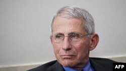 Dr. Anthony Fauci