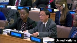 Hau Do Suan, Permanent Representative of Myanmar to the United Nations