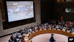 Russia Ukraine War UN Security Council