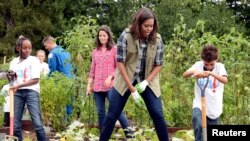 Former First Lady Michelle Obama, center, encourages a youngster with a pitchfork as they harvest vegetables in the White House Kitchen Garden on October 6, 2016.