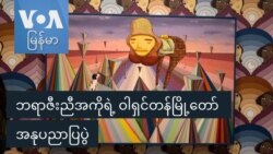 ဘရာဇီးညီအကိုရဲ့ ဝါရှင်တန်မြို့တော် အနုပညာပြပွဲ
