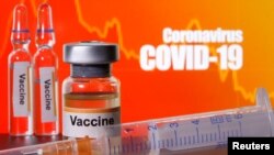 Coronavirus vaccine