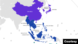 RCEP ( Regional Comprehensive Economic Partnership)