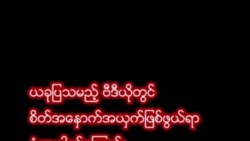 မြောက်ဦးမှာ မိုင်းနင်းမိလို့ ရိုဟင်ဂျာကလေးငယ်တဦး သေဆုံး