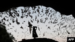 A woman makes noise as she directs the bats away from power tower in Hpa-An, Karen State on March 1, 2020.