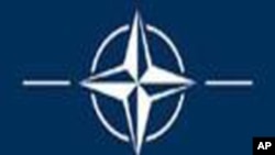 NATO Logo