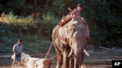 Myanmar Logging