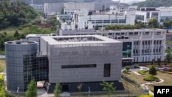 Wuhan Institute of Virology.