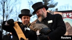 Phil The Groundhog makes his prediction on how long winter will last, in Punxsutawney