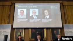 Les membres de l'Académie des sciences présentent les trois prix Nobel de Chimie 2016 lors d'une conférence de presse, à Stockholm, Suède, le 5 octobre 2016.