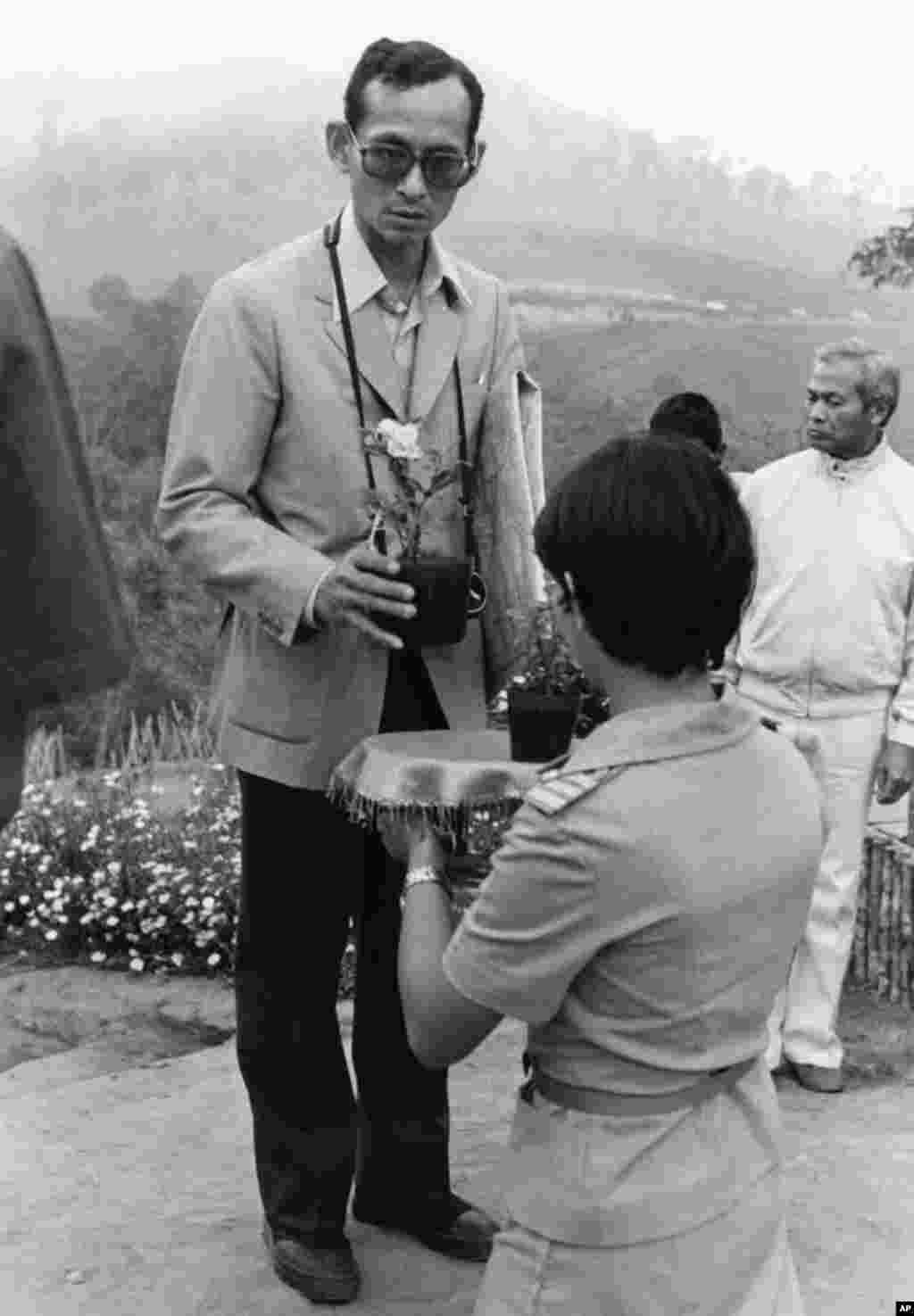 Thai King Bhumibol Adulyadej receives a small rose plant from a woman as he makes a visit to one of his crop substitution projects in Northern Thailand, Feb. 16, 1981. 