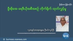 လူမျိုးတုန်းသတ်ဖြတ်မှု ဥပဒေဖြည့်စွက်ချက်အပေါ် ဥပဒေပညာရှင်အမြင်