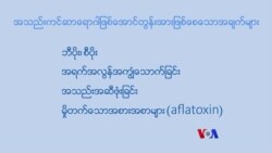 ဘီပိုး၊ စီပိုး စစ်ဖို့လို “လူထုနဲ့ ကျန်းမာရေး”