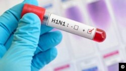 H1N1