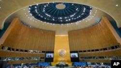 UN General Assembly